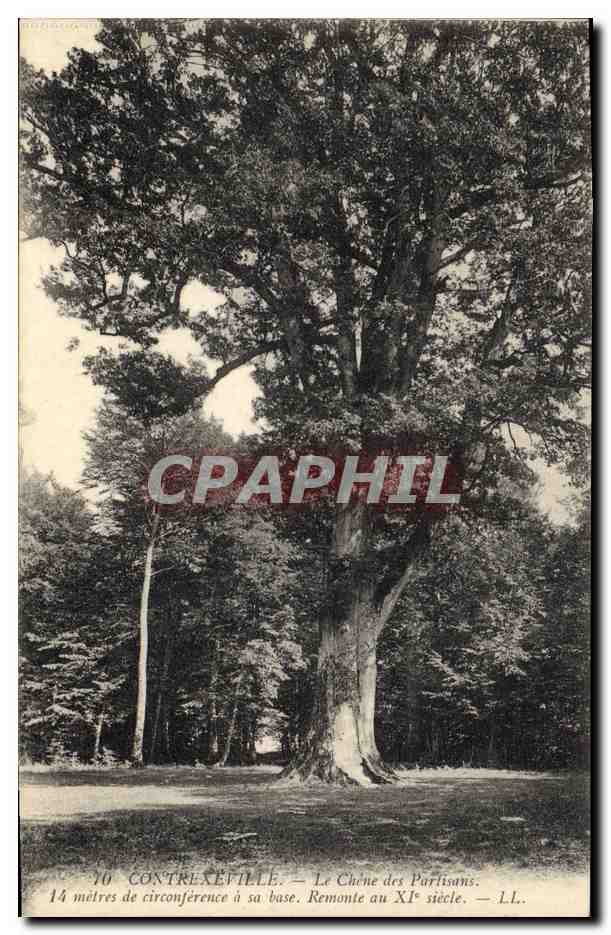 CPA Arbre Contrexeville Le chene des Partisans 