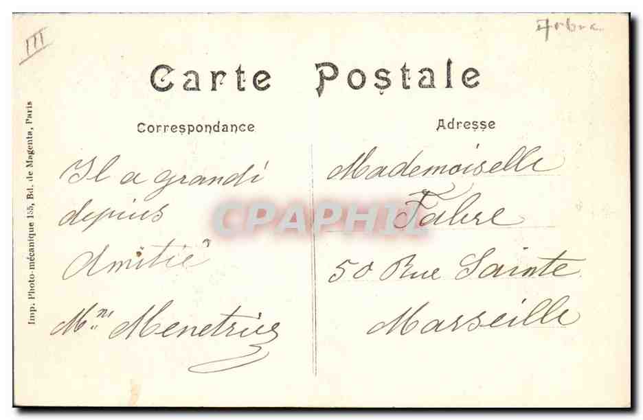 CPA Arbre Paris Jardin des Plantes Le cedre du Liban  — Verso