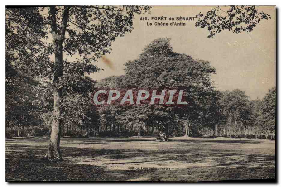 CPA Arbre Foret de Senart Le chene d'Antin 