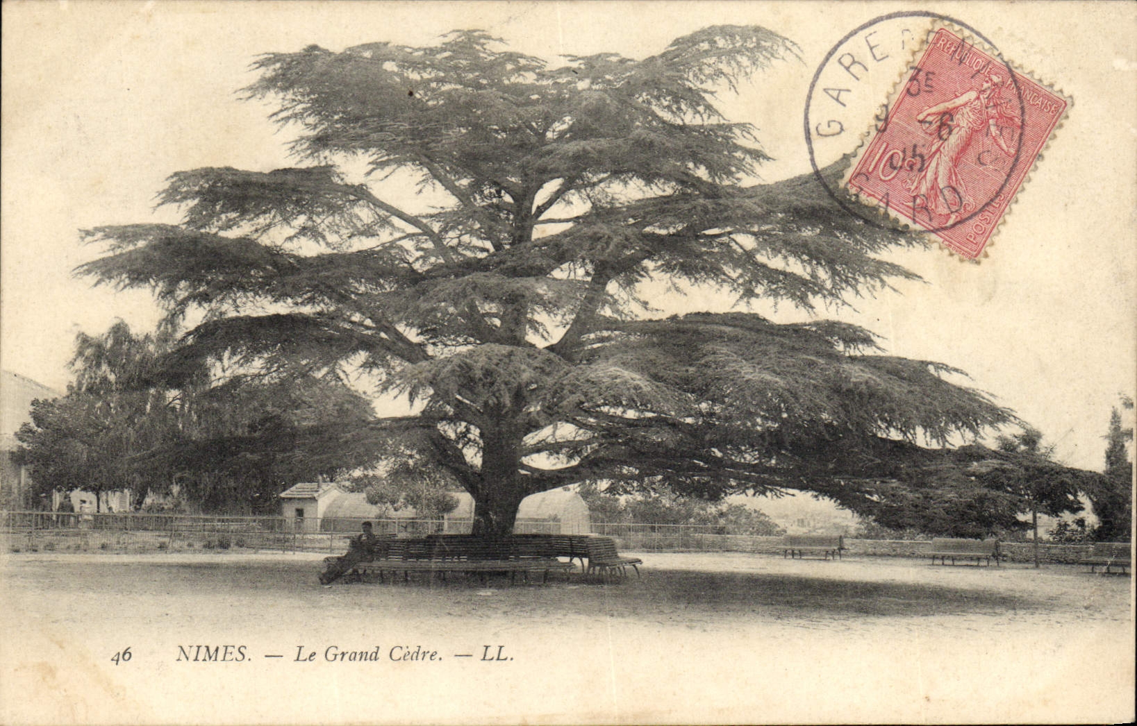 Nîmes — Le Grand Cèdre — LL. — N°46