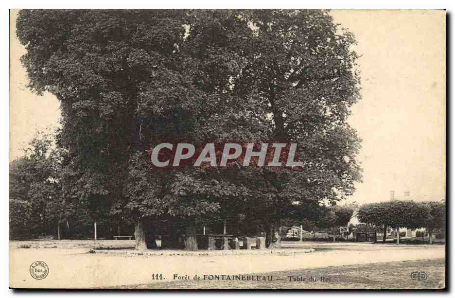 CPA Arbre Foret de Fontainebleau Table du roi 