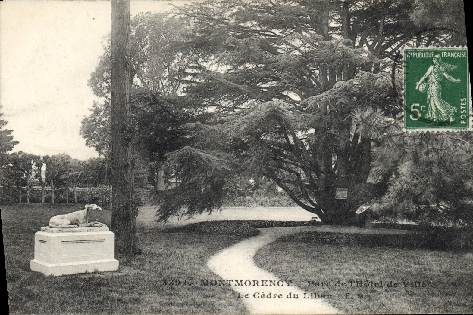 CPA Arbre Montmorency Parc de l'Hotel de ville Le cedre du Liban 