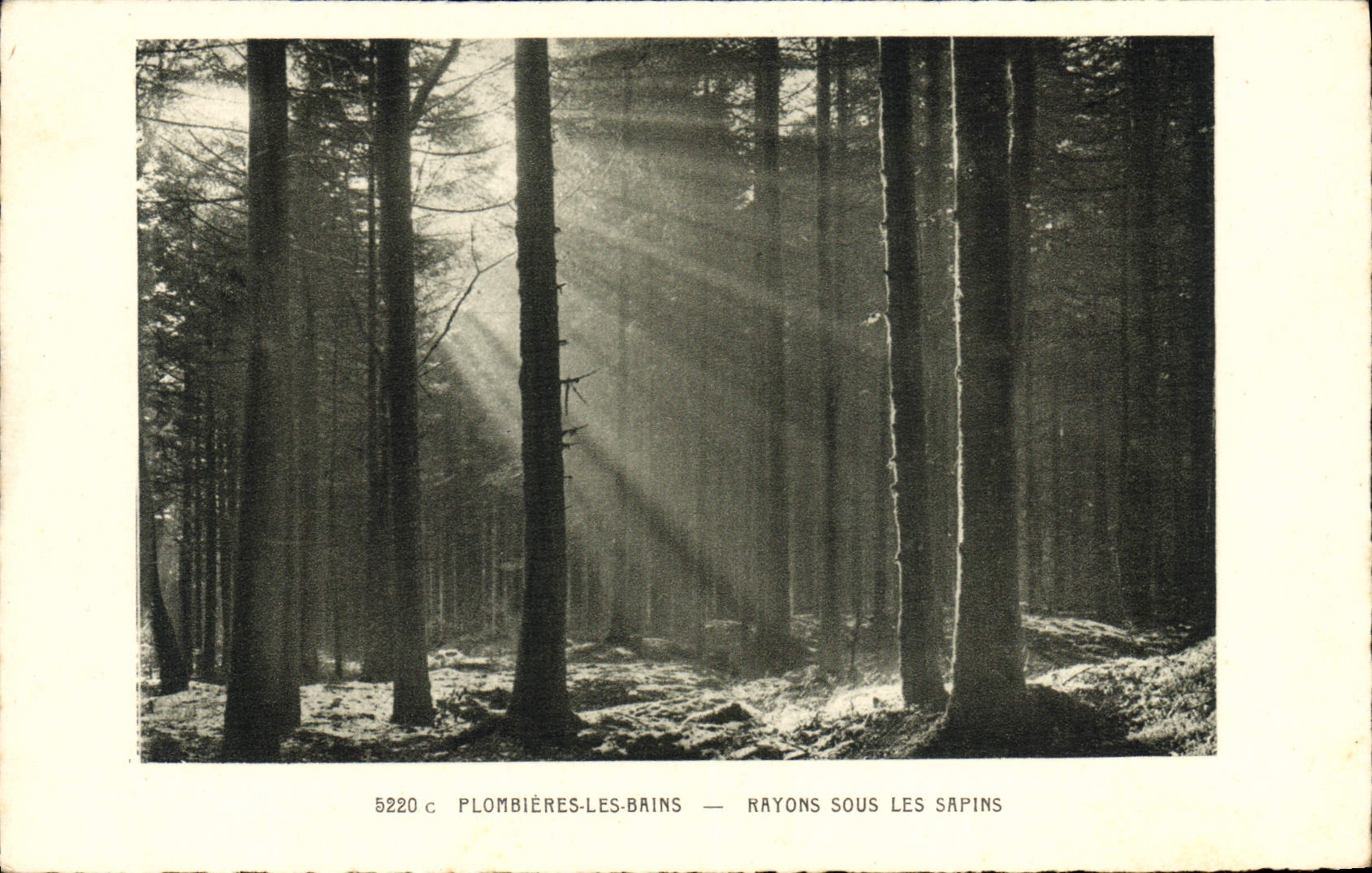 CPA Arbre Plombieres les Bains Rayons sous les sapins 