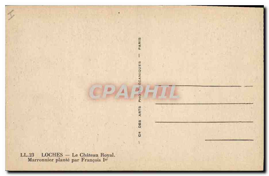 CPA Arbre Loches Le chateau royal Marronnier plante par Francois 1er  — Rückseite
