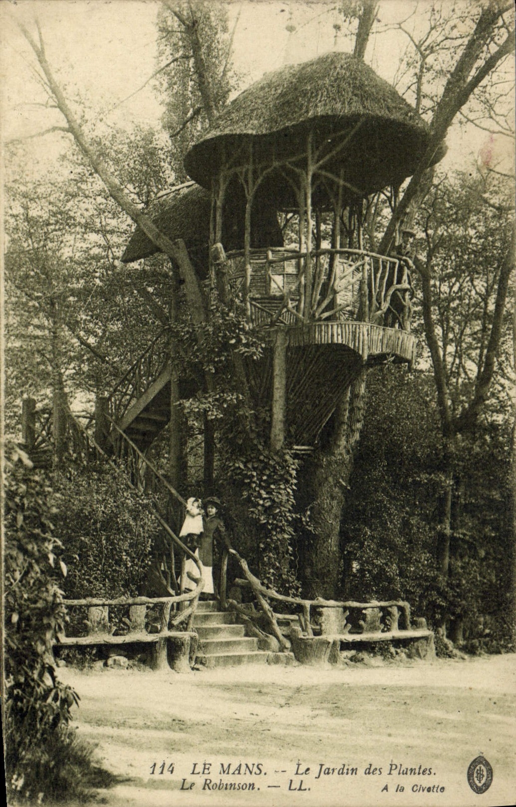CPA Arbre Le Mans Le jardin des plantes Le Robinson 