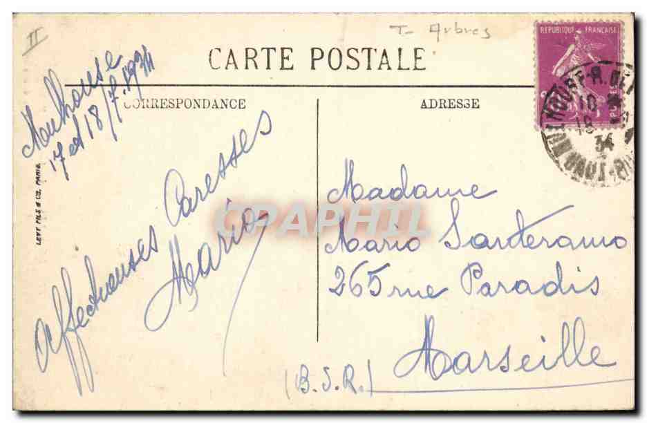 CPA Arbre Le Mans Le jardin des plantes Le Robinson  — Rückseite