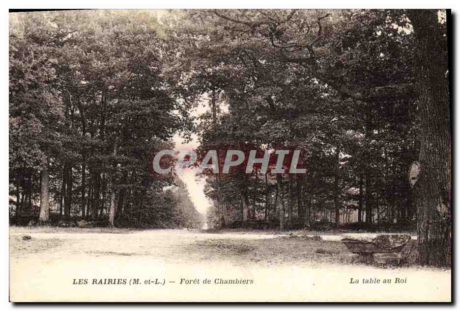 CPA Arbre Les Rairies Foret de Chambiers 