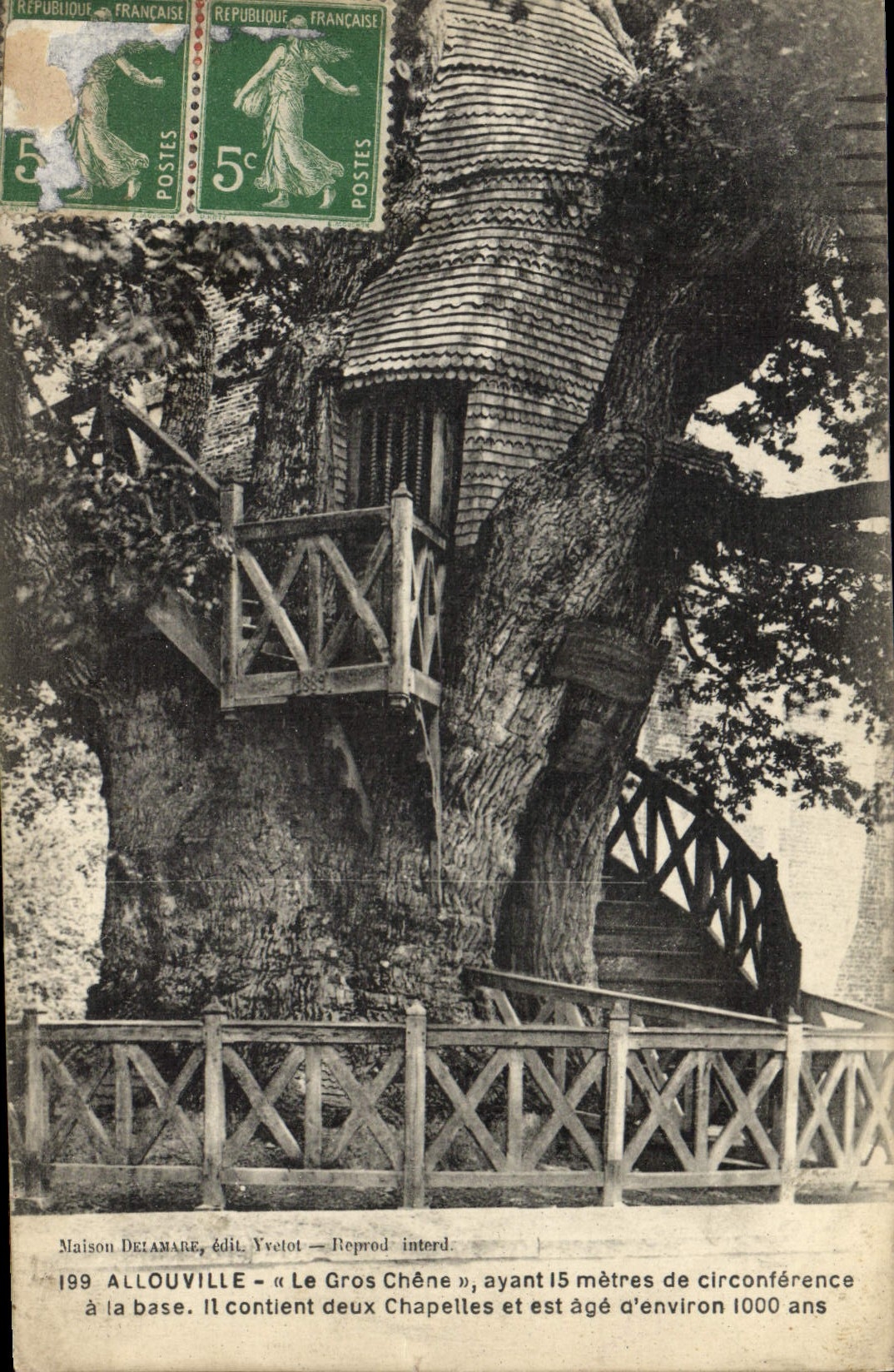 CPA Arbre Allouville Le gros chene 