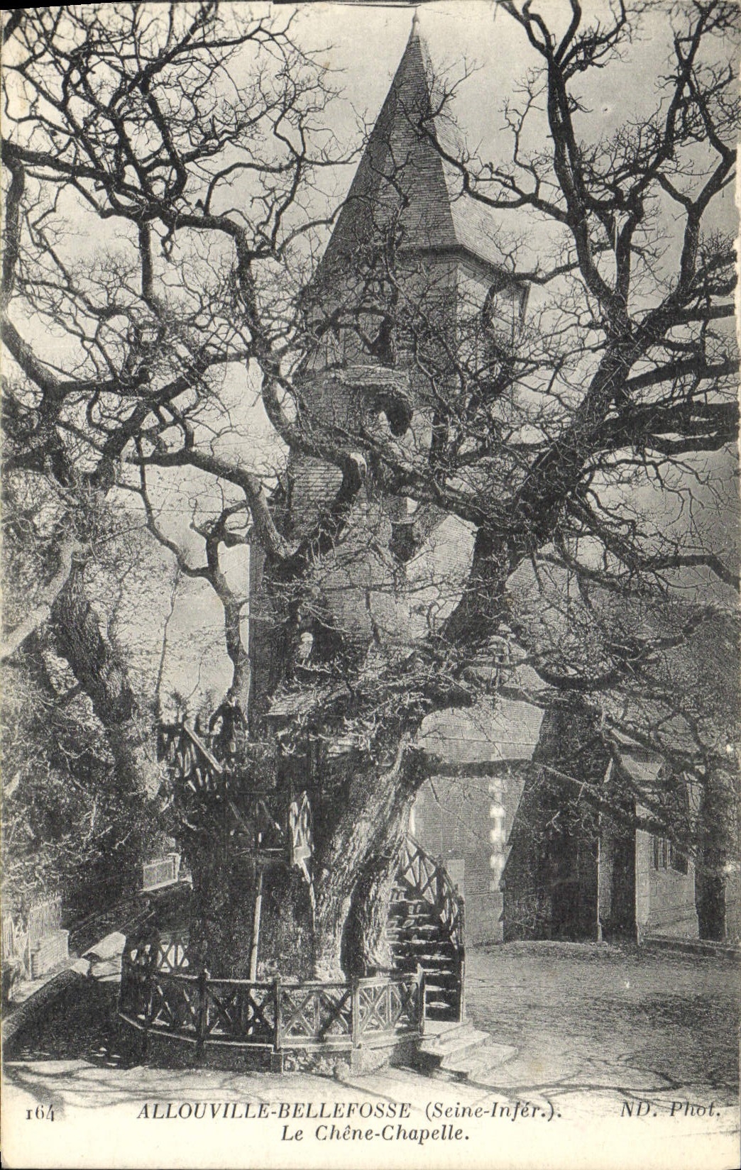 CPA Arbre Allouville Bellefosse Le chene chapelle 