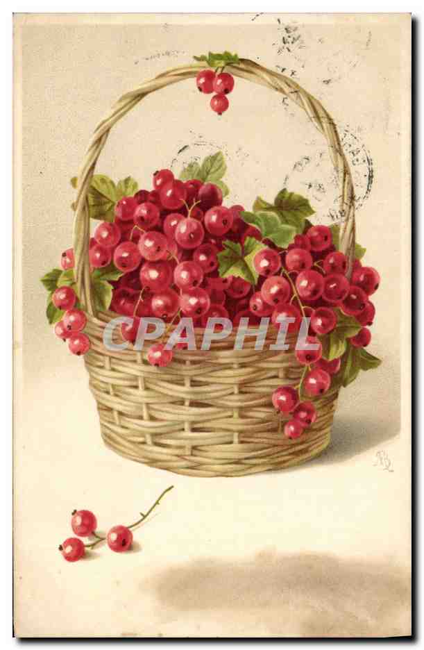 CPA Fantaisie Nature morte 