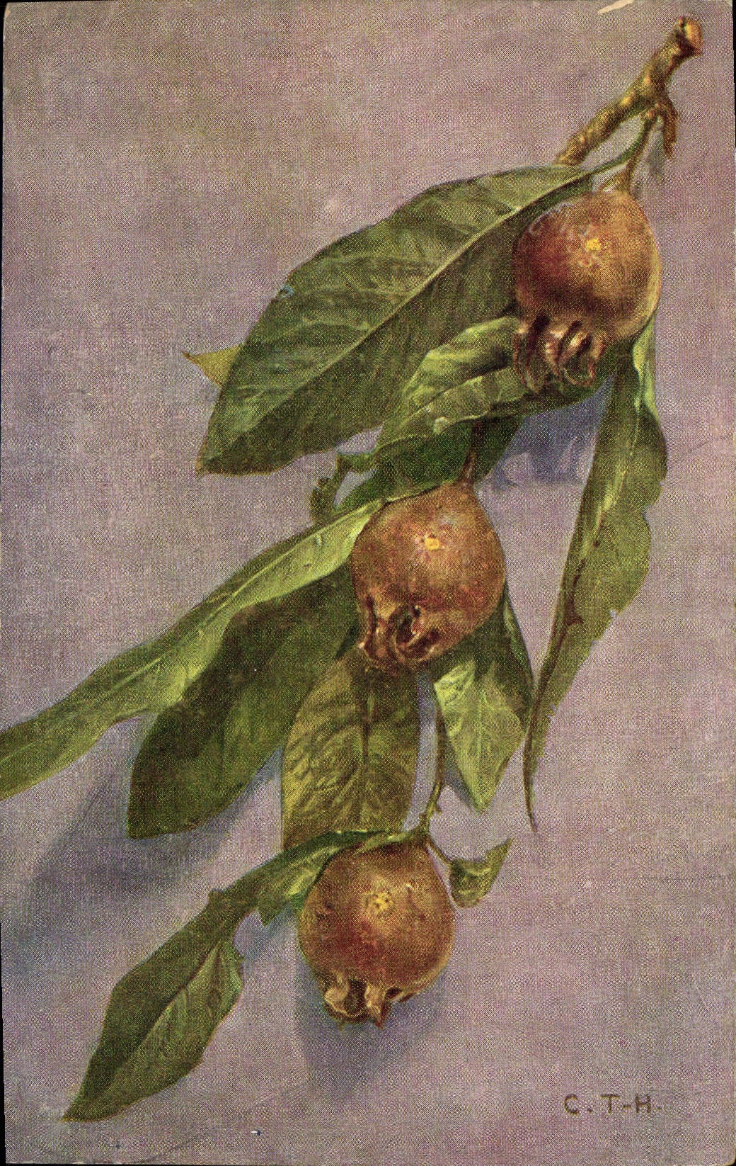 CPA Fantaisie Nature morte 