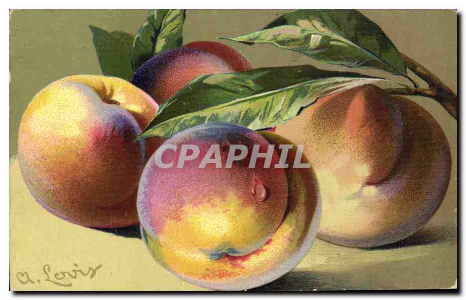 CPA Fantaisie Nature morte 