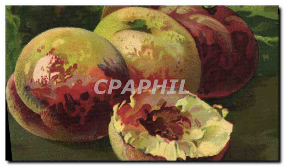 CPA Fantaisie Nature morte 