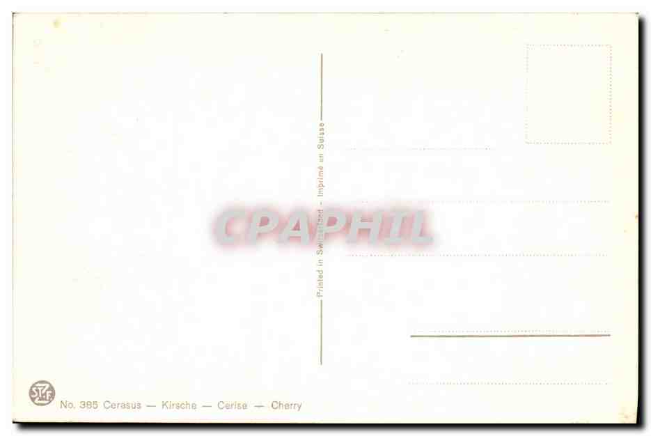 CPA Fantaisie Nature morte  — Rückseite