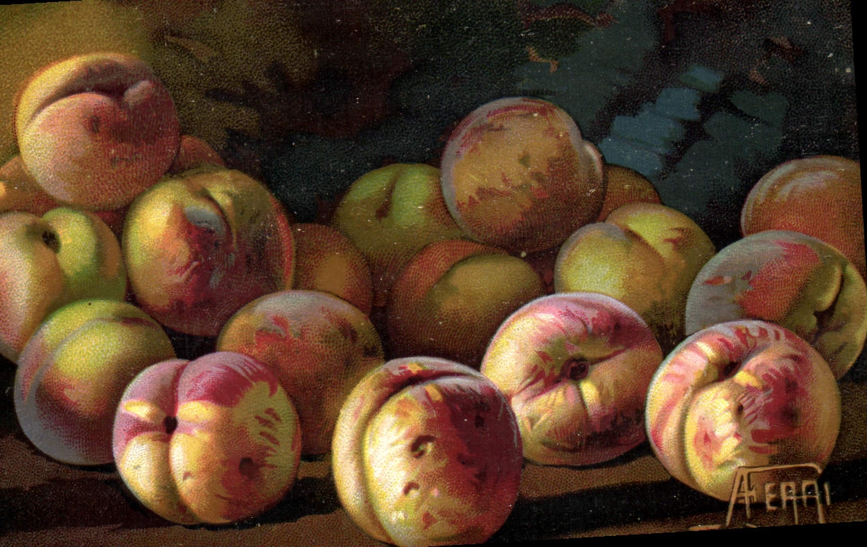 CPA Fantaisie Nature morte Peches 