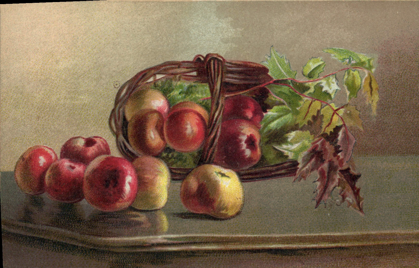 Still life con manzanas — cesto y hojas — Made in Germany, serie 281