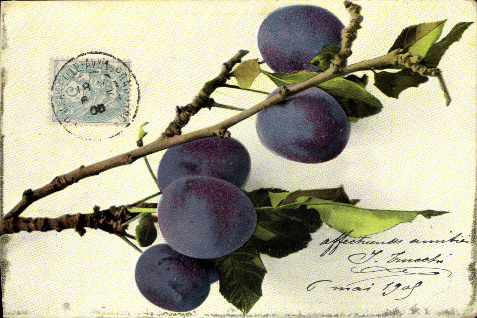 CPA Fantaisie Nature morte 