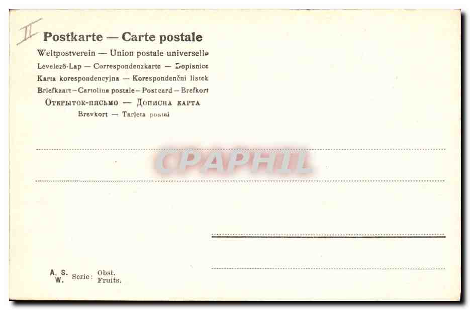 CPA Fantaisie Nature morte Raisins  — Verso