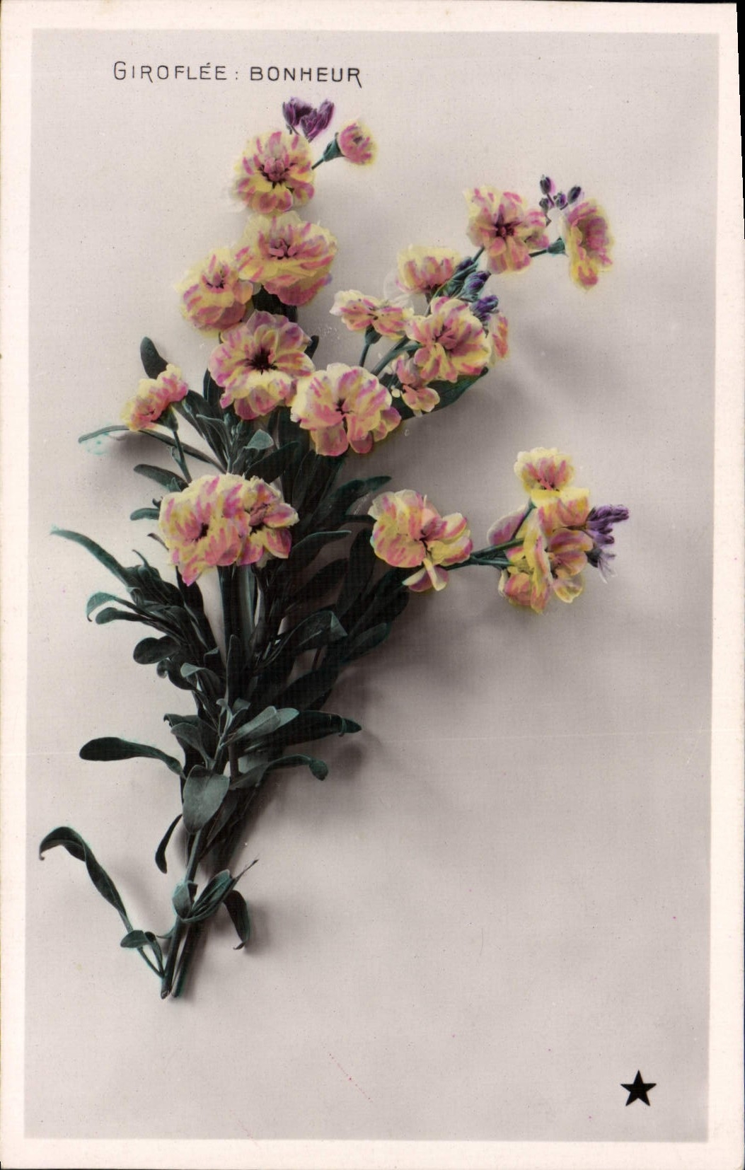 CPA Fantaisie Fleurs Giroflee bonheur 