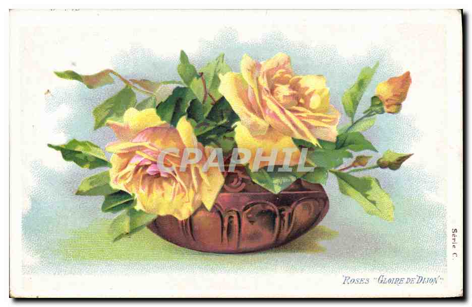 CPA Fantaisie Fleurs Roses Gloire de Dijon 