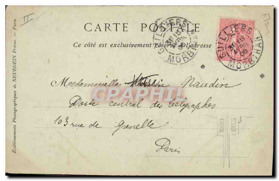 CPA Fantaisie Fleurs Begonia Gloire de Lorraine  — Verso
