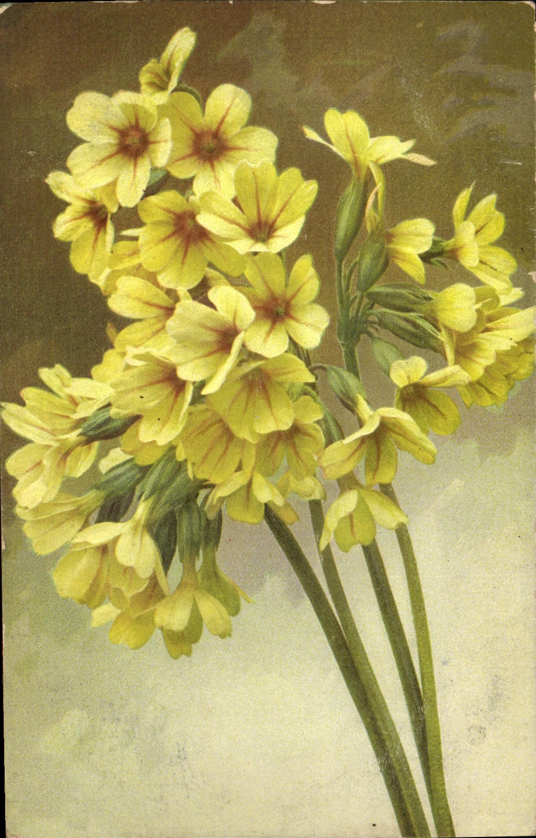 CPA Fantaisie Fleurs 