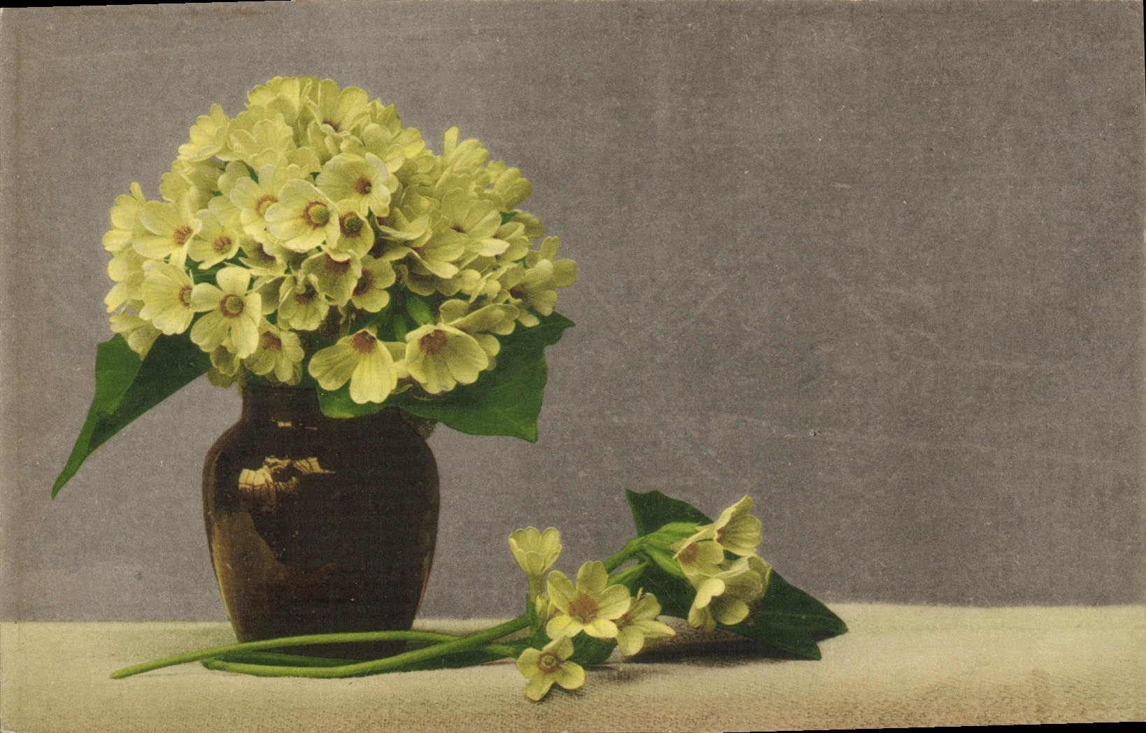 CPA Fantaisie Fleurs 