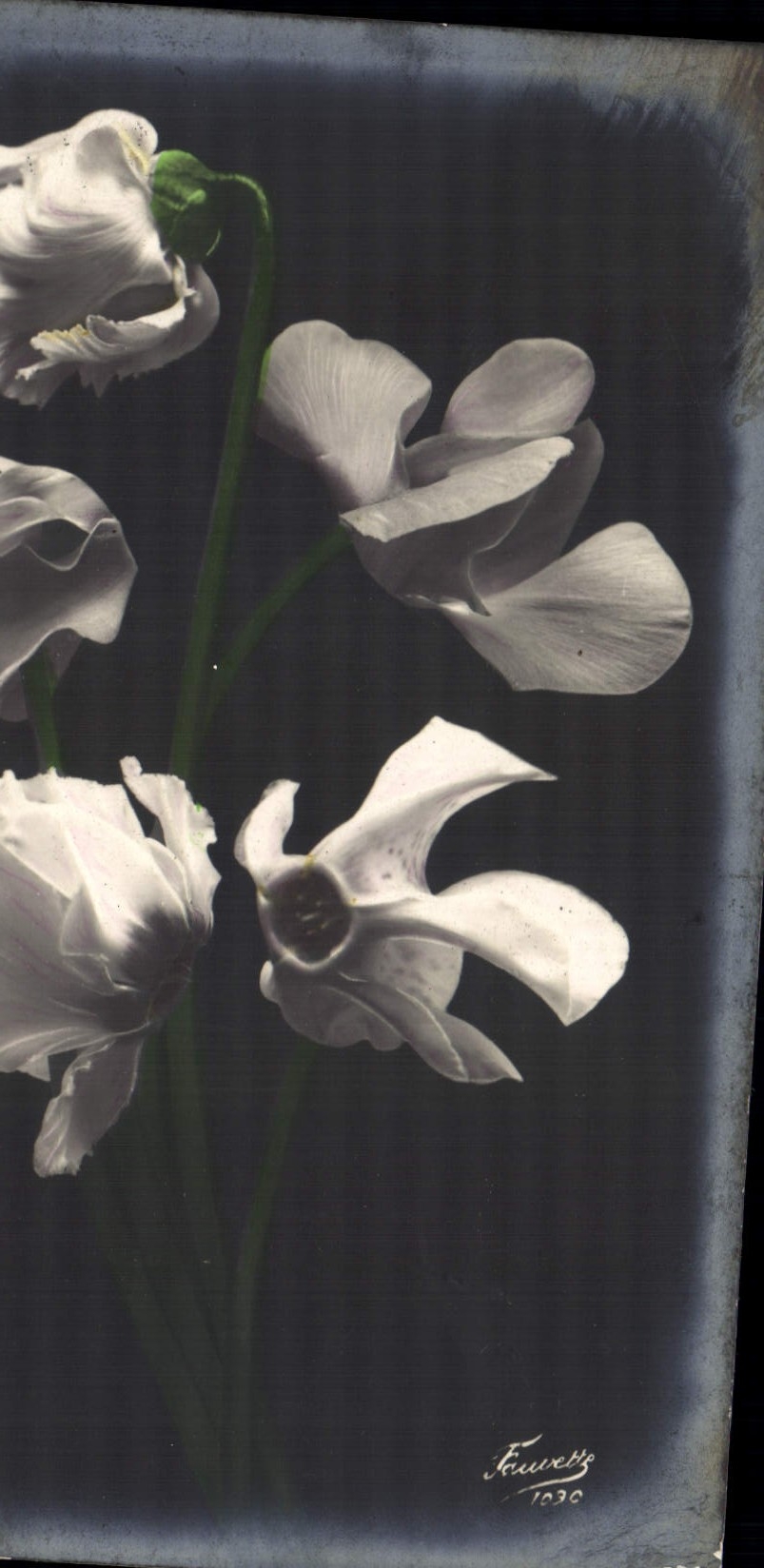 CPA Fantaisie Fleurs 