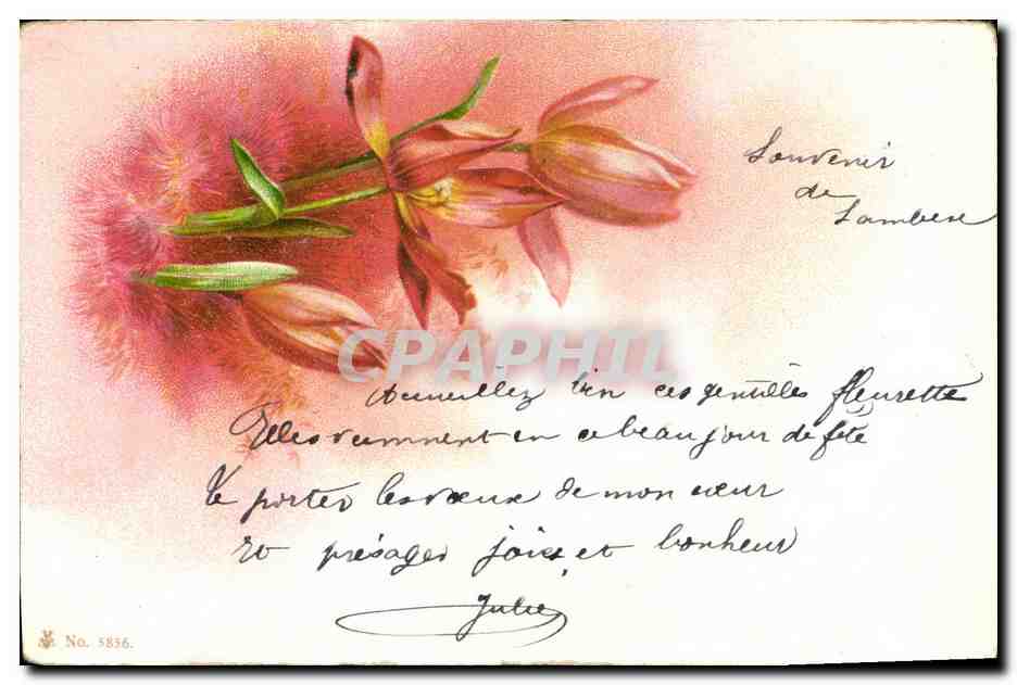 CPA Fantaisie Fleurs 