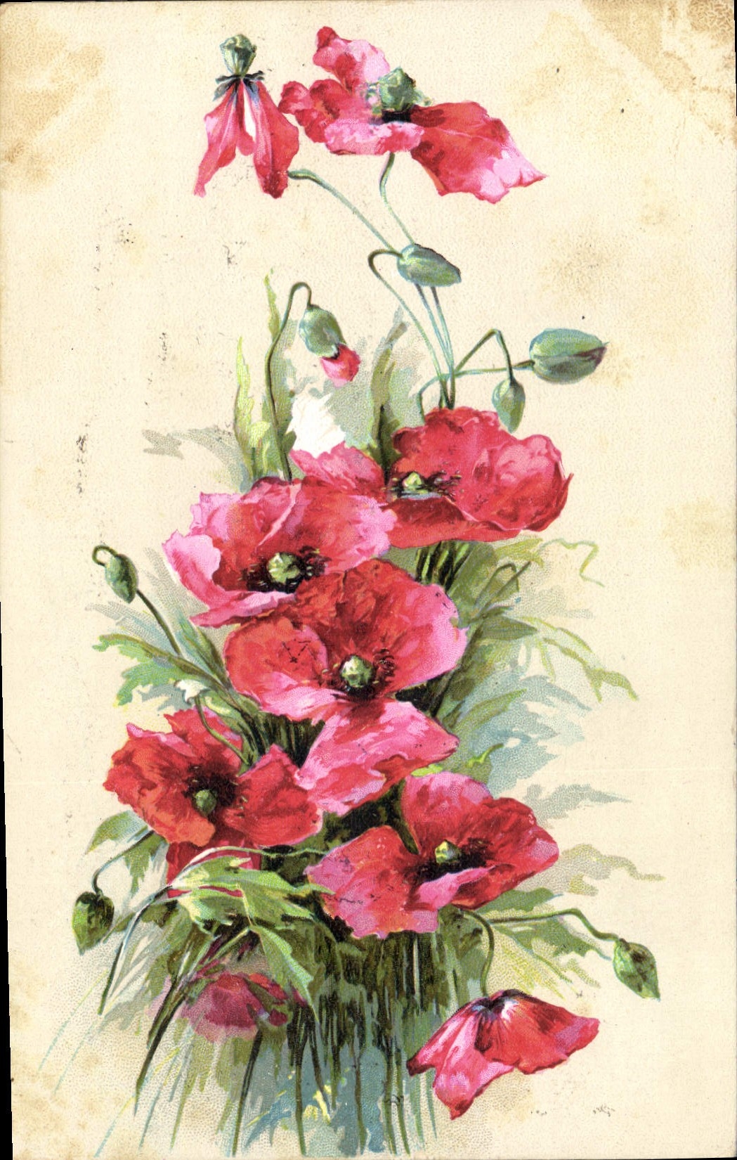 CPA Fantaisie Fleurs 