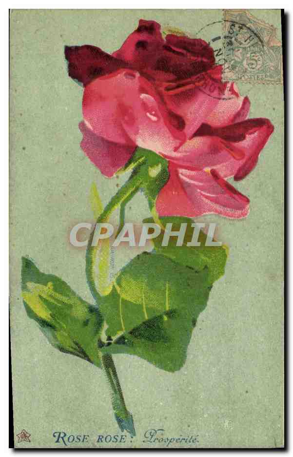 CPA Fantaisie Fleurs Roses Rose Prosperite 