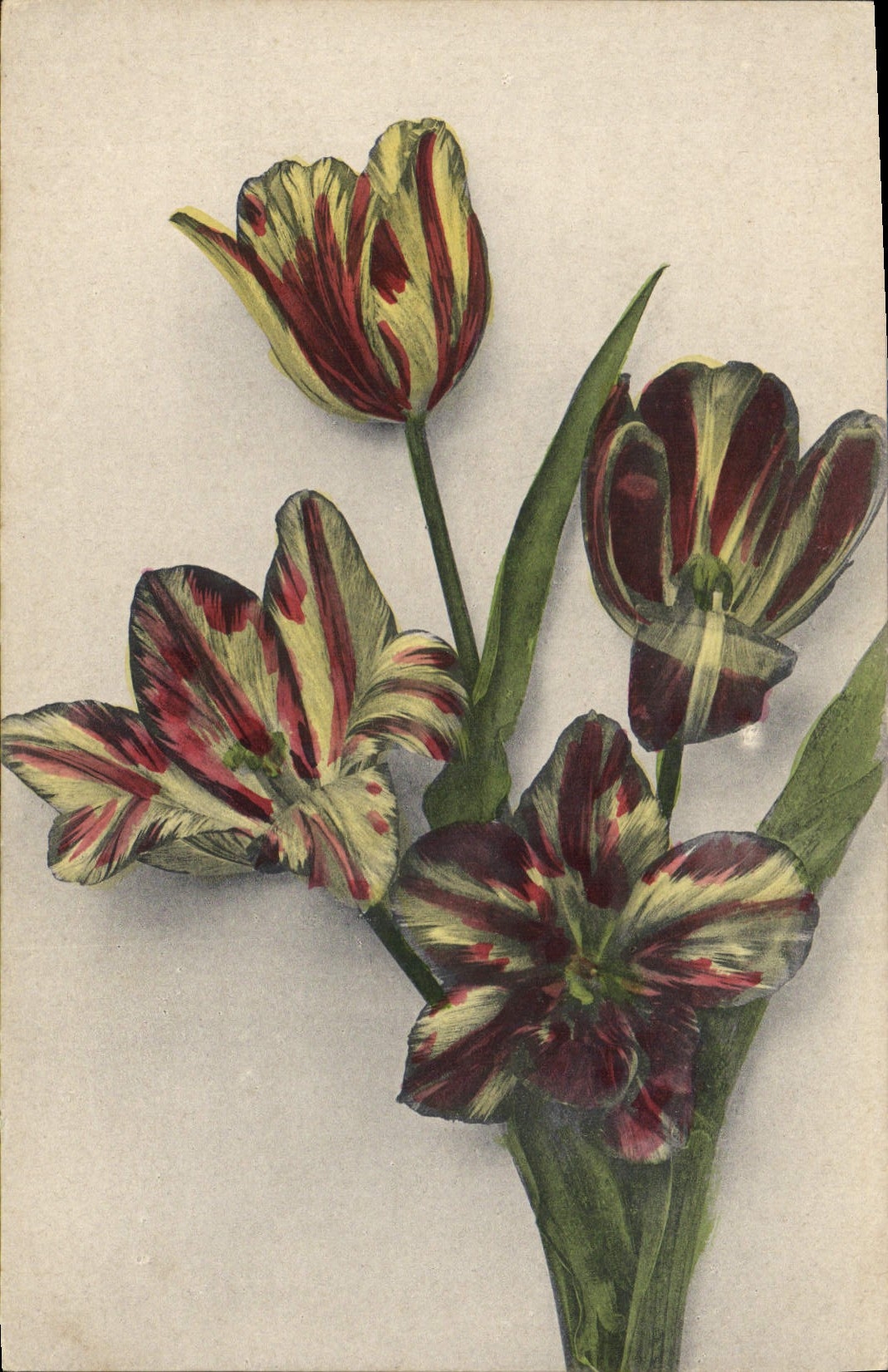 CPA Fantaisie Fleurs 