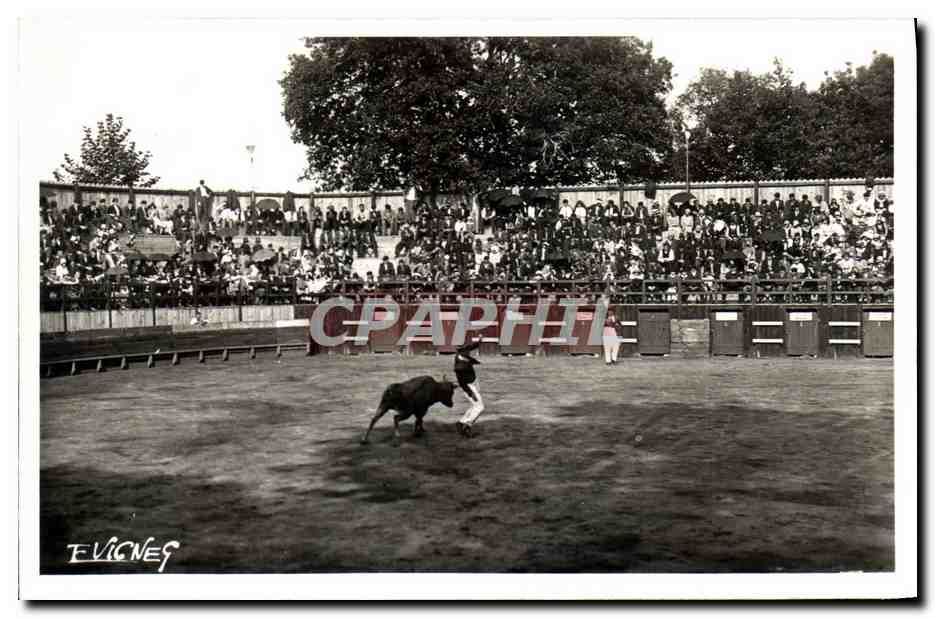 Course Landaise — Fête populaire des Landes — Éditeur E. Vignes, n°41