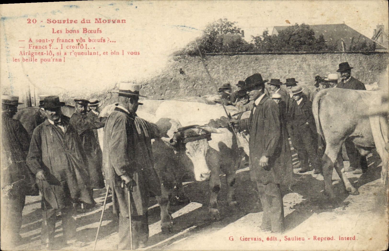 CPA Folklore Sourire du Morvan Les bons boeufs