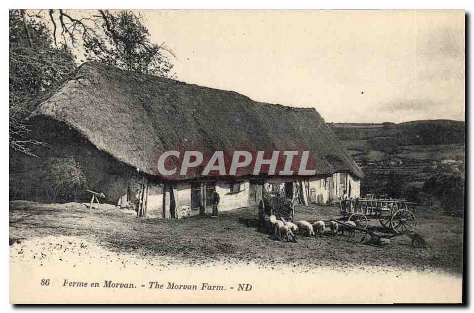 CPA Folklore Ferme en Morvan Moutons