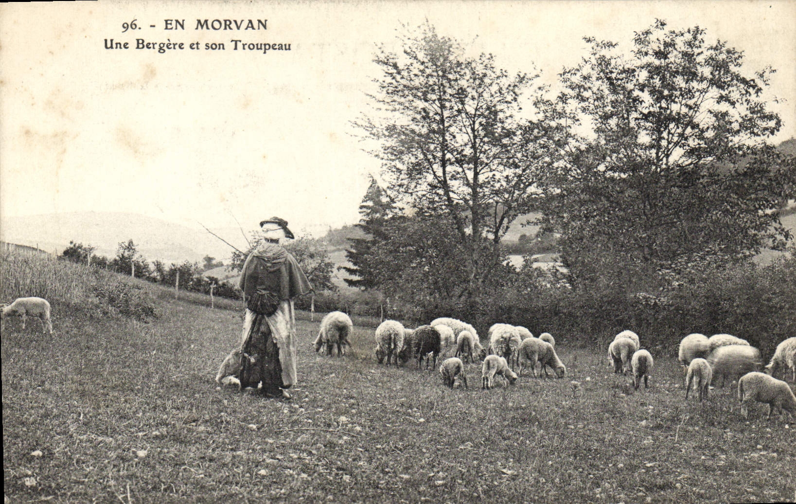 CPA Folklore En Morvan Une bergere et son troupeau
