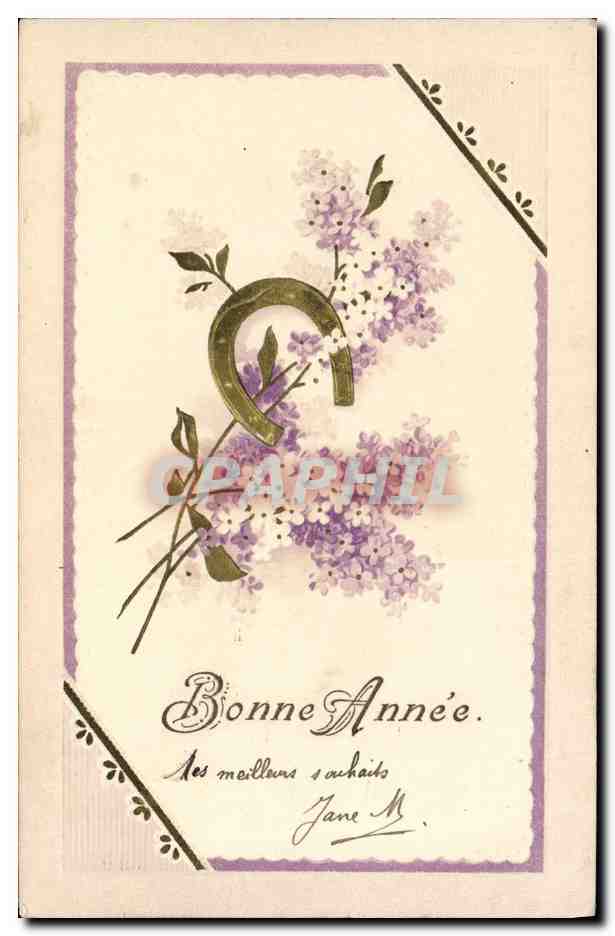 CPA Fantaisie Fleurs Fer a cheval 