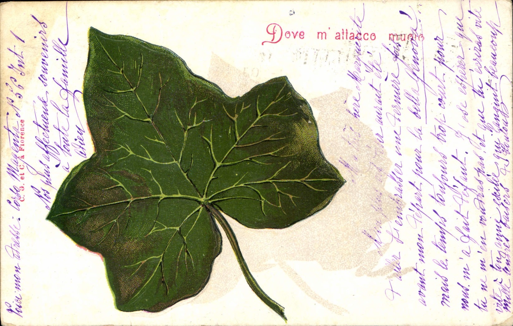 CPA Fantaisie Fleurs Vigne (en relief) 