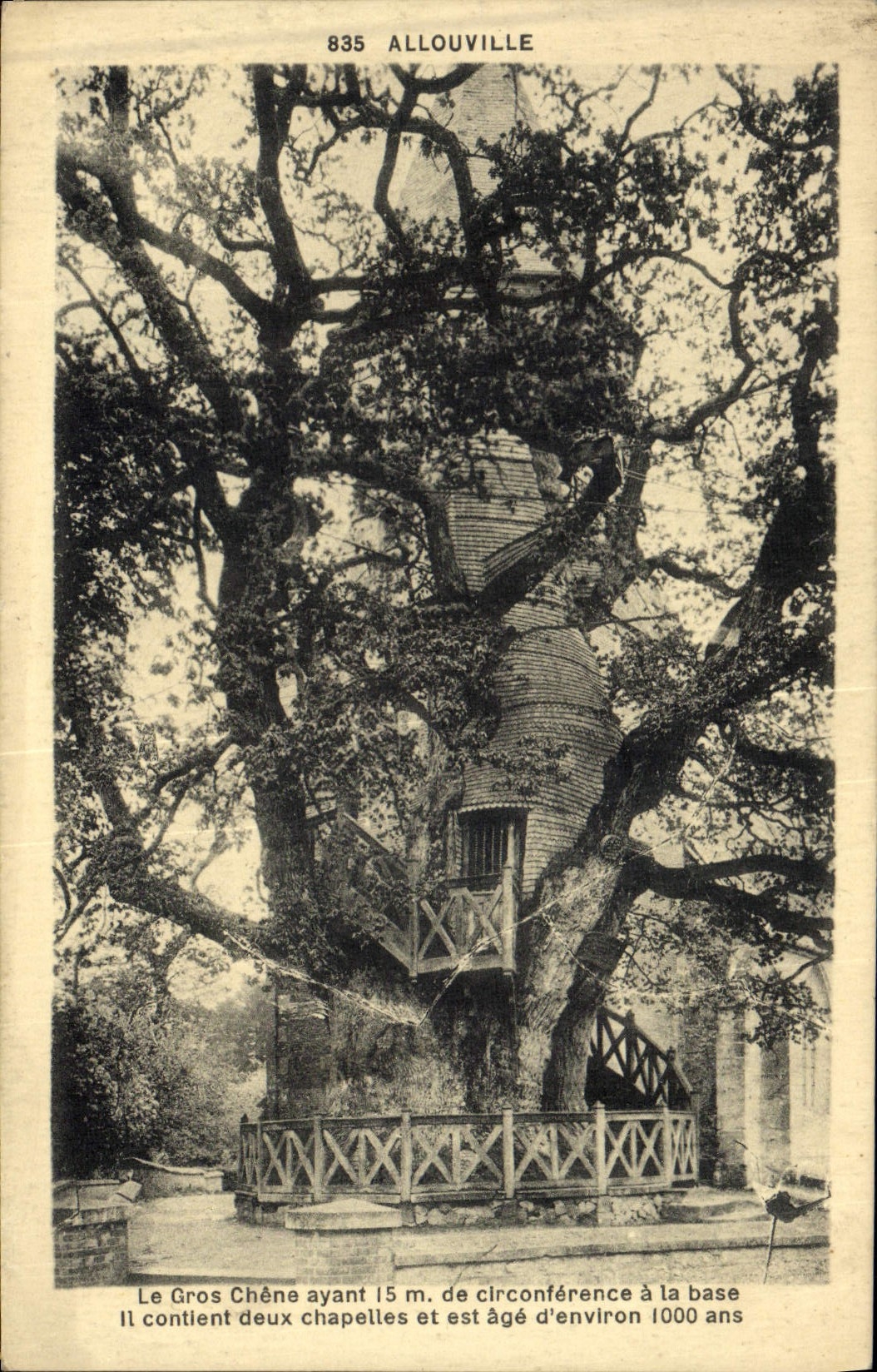 Le Gros Chêne à Al louville — arbre millénaire avec chapelle intégrée — Maison Delamare, n°835