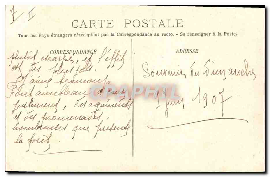 CPA Arbre Foret de Fontainebleau Le nid de l'aigle  — Rückseite