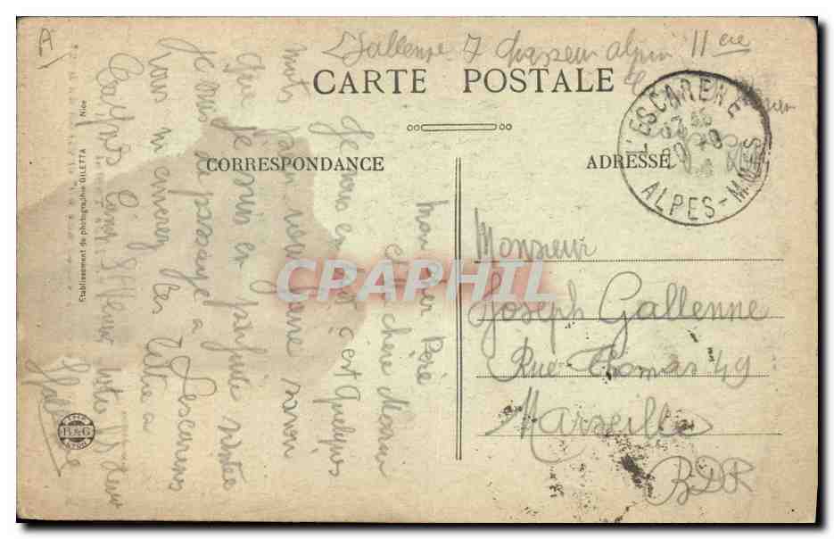 Sapin de 5'20 de circonférence sur 60' environ de haut — Environs de Peïra-Cava (A.M.) — Établissement de photographie OLLETTA — Verso