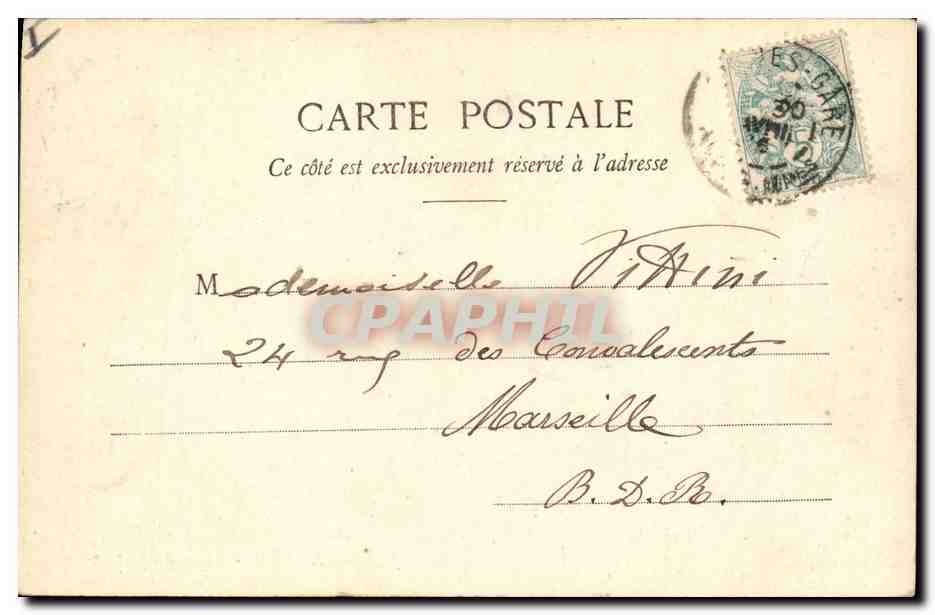 CPA Arbre Cannes Allee de Palmiers  — Back