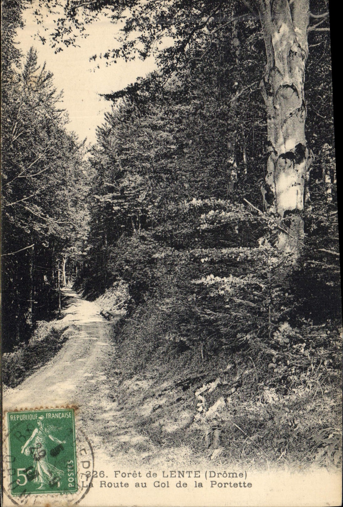 CPA Arbre Foret de Lente La route du col de la Portette 