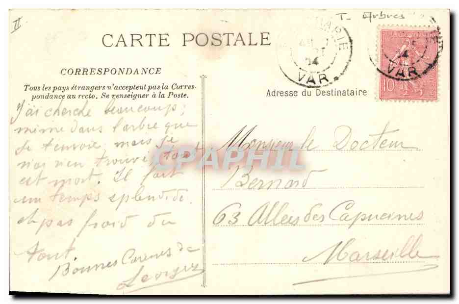 CPA Arbre La Sainte Baume Grand chene de Giniez  — Rückseite