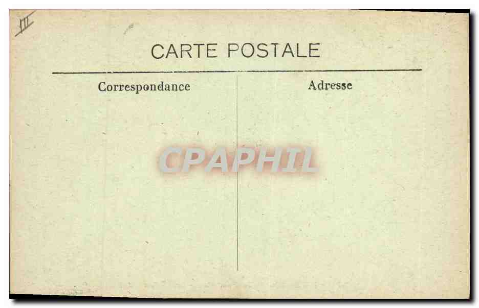 CPA Arbre Jardin de la fontaine Le cedre  — Rückseite