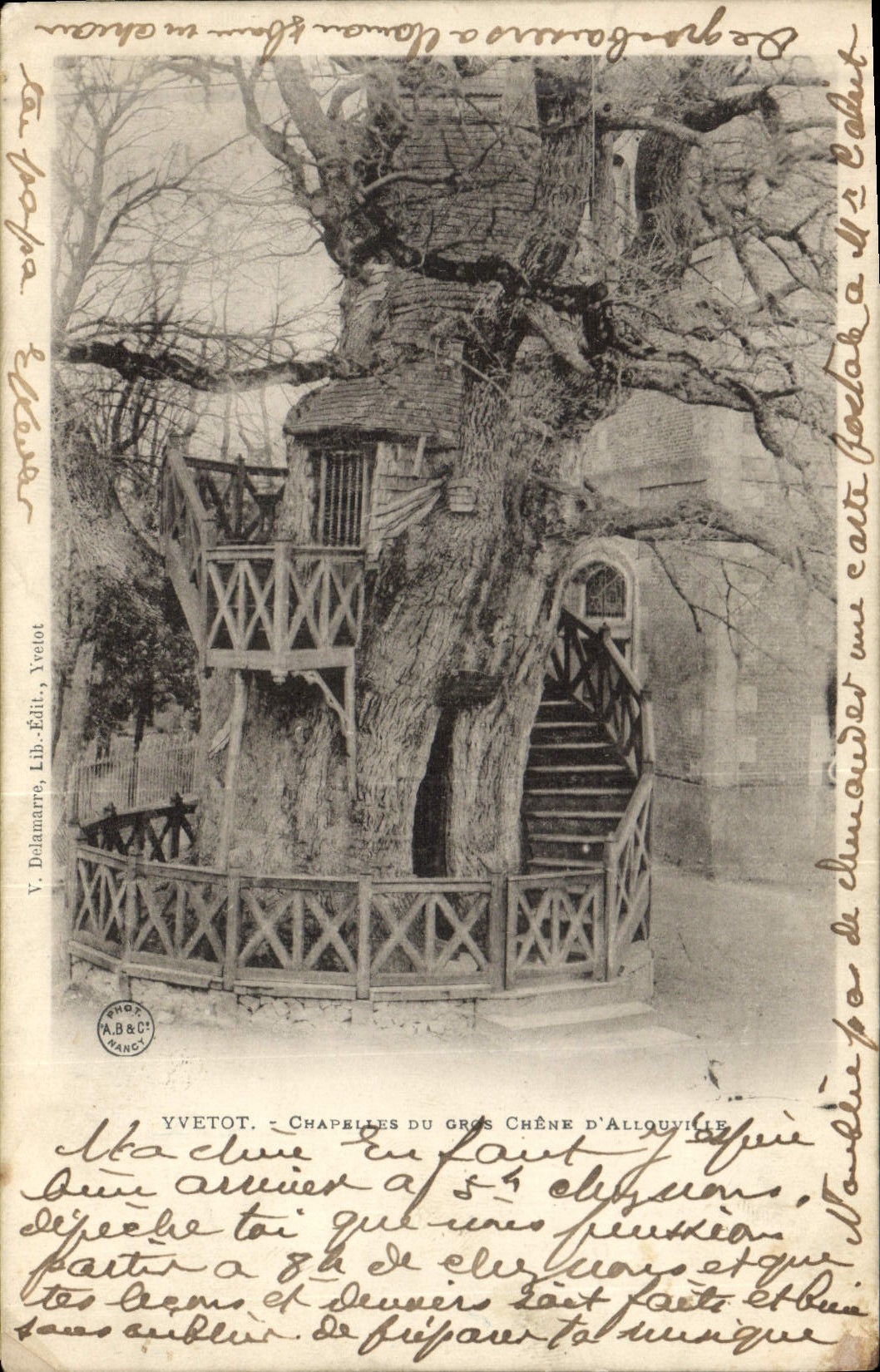 CPA Arbre Yvetot Chapelles du gros chene d'Allouville 