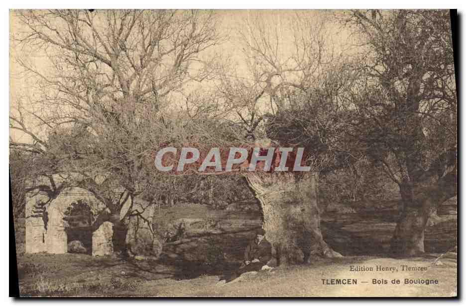 Tlemcen — Bois de Boulogne — Édition Henry, Tlemcen