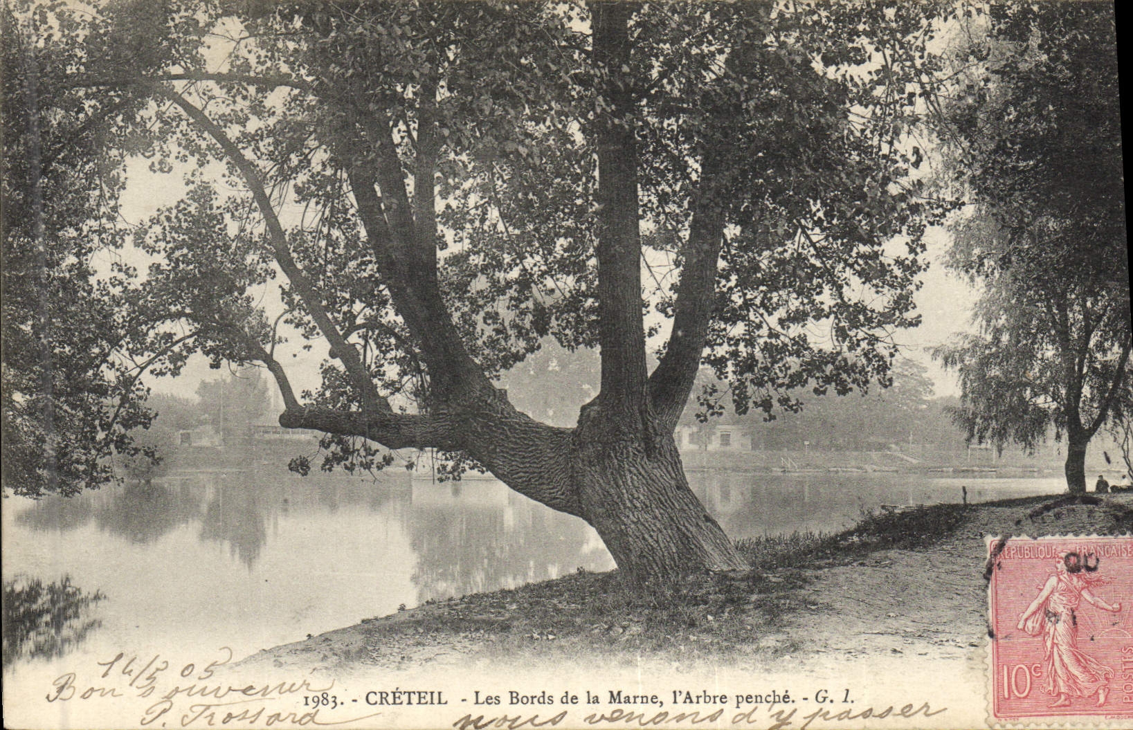 CPA Arbre Creteil Les bords de la Marne L'arbre penche 