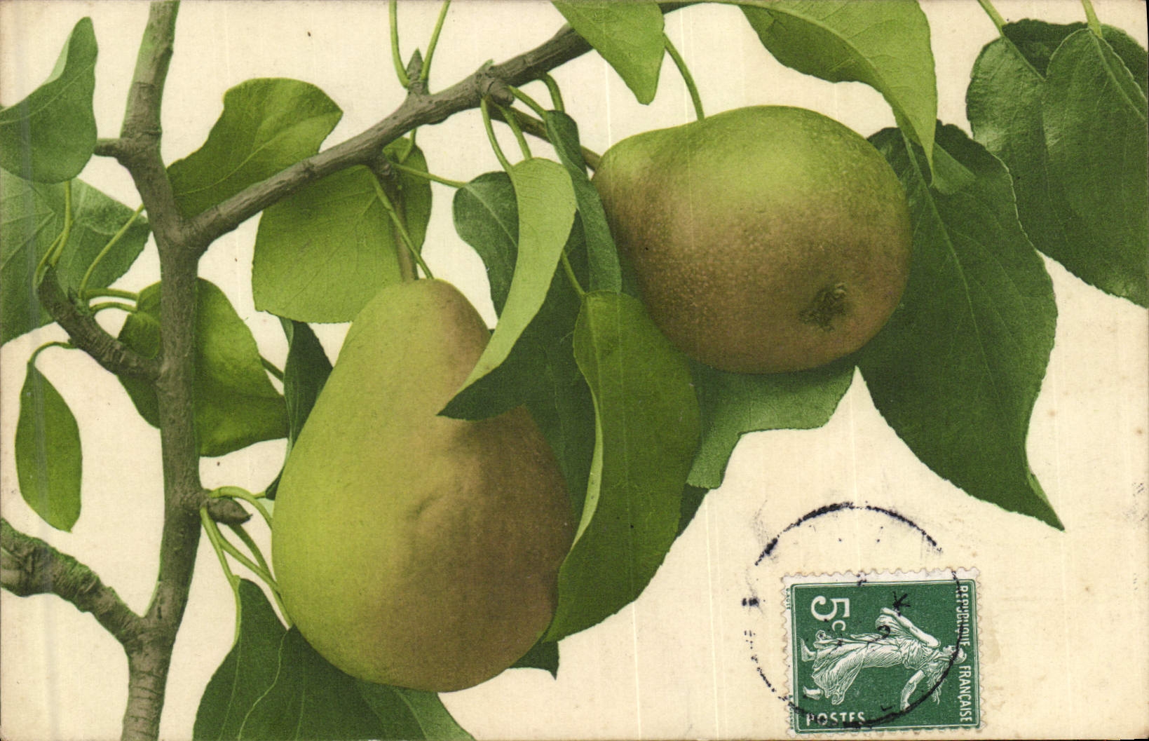 CPA Fantaisie Nature morte Poires