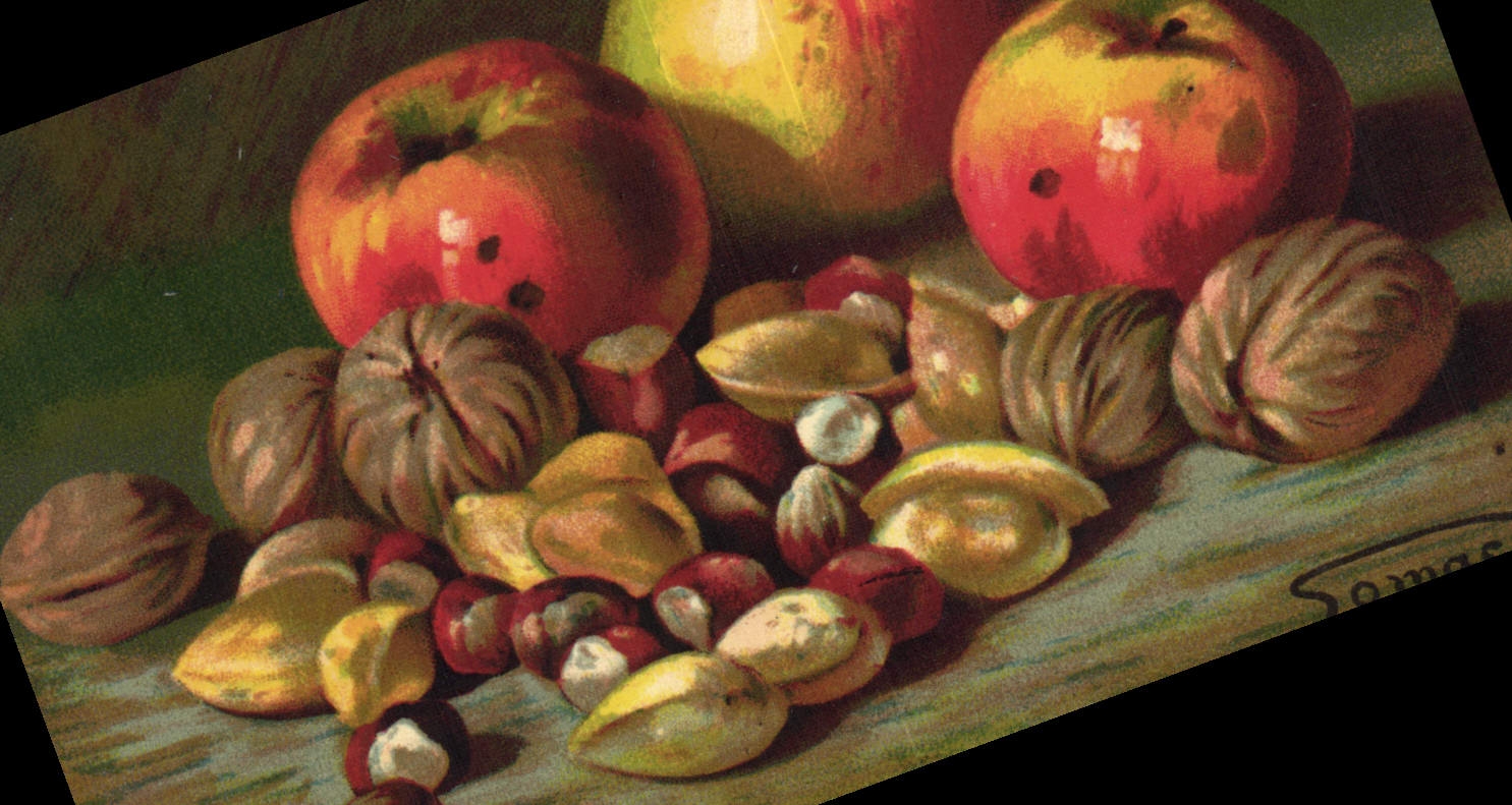 CPA Fantaisie Nature morte Pommes Noix 
